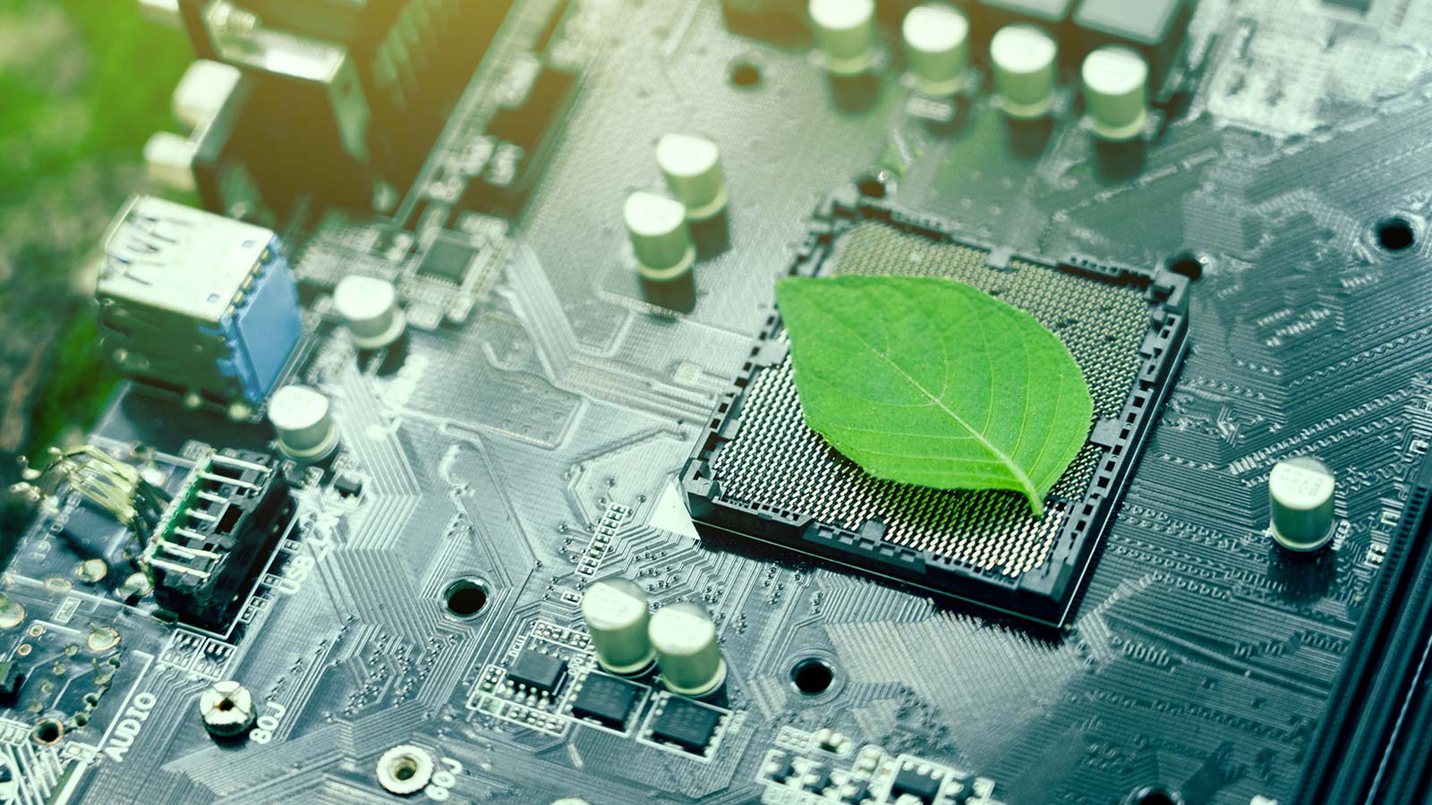 Green leaves inside a computer circuit board green technology and environmental technology Nature combined with digital technology.