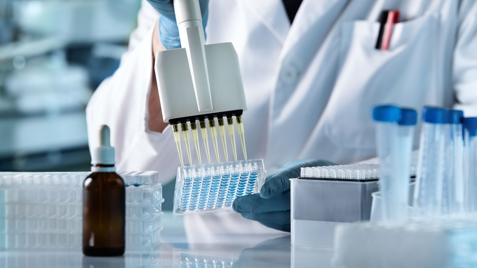 Hands of scientist working with multichannel pipette and multi well plates