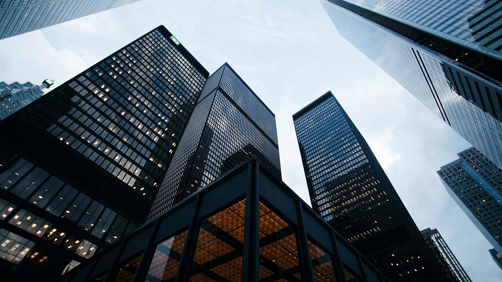 Buildings in the city